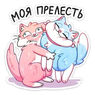 🤗 МОЯ ПРЕЛЕСТЬ кот, милый, любовь, стикер, мультфильм, животные, нежность whatsapp sticker