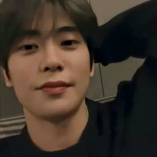 🦥 whatsapp sticker