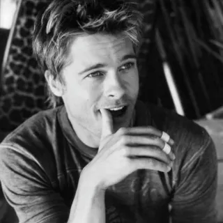 🌐 Brad Pitt ator, celebridade, retrato, homem, masculino whatsapp sticker