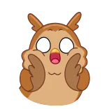 😱 owl, bird, animal, middle finger, rude, gesture whatsapp sticker