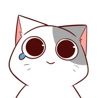 🥲 고양이, 귀여운, 슬픈, 우는, 애니메이션, 스티커, 만화 telegram sticker