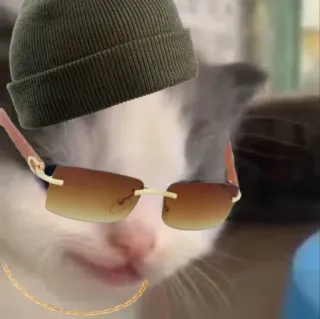 Kucing berbagai Rasa by: @warganegaramars whatsapp stickers