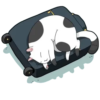 😴 gato, dormindo, sofá, preguiçoso, animal, animal de estimação, doméstico, soneca whatsapp sticker