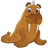 👌 walrus, animal, cute, cartoon, mammal, sea animal telegram sticker