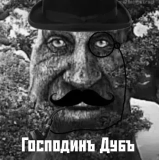 🌳 Господинь Дубь 木, 紳士, モノクル, 口ひげ, パイプ, オーク, 山高帽 whatsapp sticker