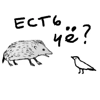 🤒 ЕСТЬ ЧЁ? hedgehog, bird, russian, question, animal, conversation telegram sticker