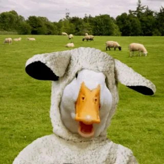 🐑 pato, ovelha, animal, fantasia telegram sticker