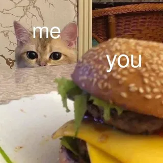 🤤 me you cat, burger, food, meme, comparison telegram sticker