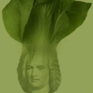 🥬 Bok choy, vegetable, portrait, historical figure, art telegram sticker