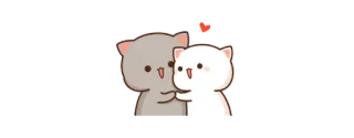 ❤️ 猫, 愛, ハート, かわいい, カップル telegram sticker