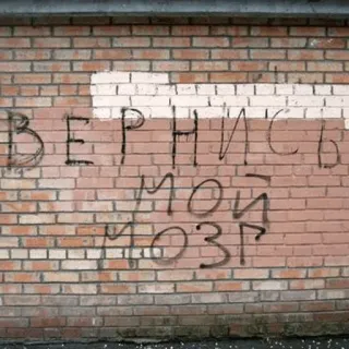 👨‍🎨 Вернись мой мозг Grafiti, Muro de ladrillo, Ruso, Cerebro perdido telegram sticker