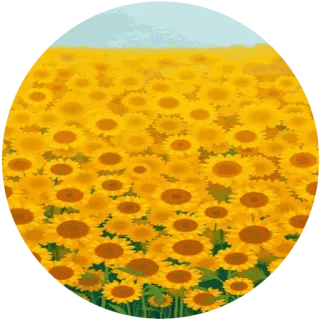 🌸 подсолнухи, поле, цветы, природа, лето, пейзаж, цветочный telegram sticker
