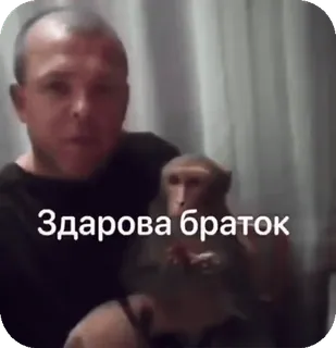 🌟 Здарова браток ผู้ชาย, ลิง, ทักทาย, รัสเซีย, เพื่อน whatsapp sticker
