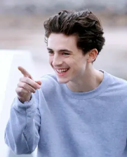 🦇 Timothée Chalamet actor, hombre, persona, famoso, sonrisa telegram sticker