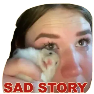 😩 SAD STORY traurig, geschichte, weinen, meme, emotional telegram sticker
