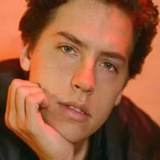 🗝 Cole Sprouse актер, портрет, мужчина, знаменитость, фотография головы telegram sticker