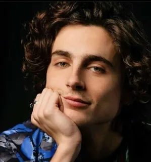 🦇 Timothée Chalamet actor, retrato, famoso, hombre, película, persona telegram sticker
