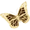 🦋