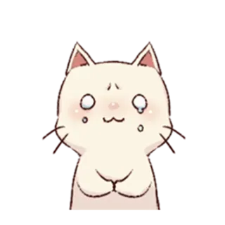 😢 kot, słodki, zwierzę, kawaii, błagalny, błagający, smutny, kreskówka telegram sticker