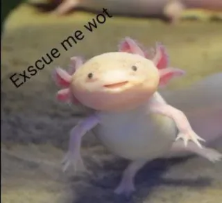 🙂 Exscue me wot アホロートル, 可愛い, 動物, 面白い telegram sticker