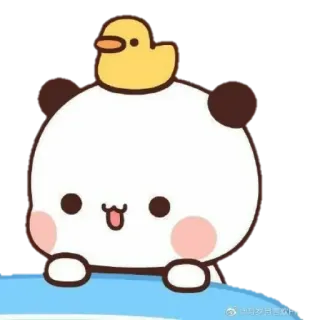 😃 lindo, kawaii, animal, panda, pájaro, dibujo animado, pegatina whatsapp sticker