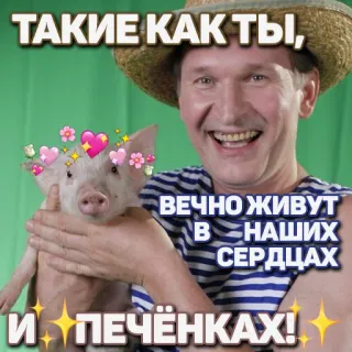 😘 ТАКИЕ КАК ТЫ, ВЕЧНО ЖИВУТ В НАШИХ СЕРДЦАХ И ПЕЧЁНКАХ! babi, lucu, imut, rusia telegram sticker