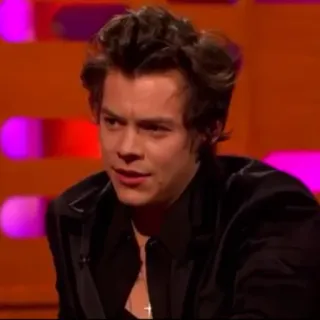🌸 Harry Styles harry styles, chanteur, homme, célébrité, acteur telegram sticker