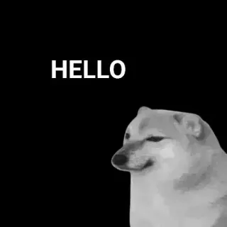 🙂 Doge HELLO anjing, meme, halo, salam, Cheems whatsapp sticker