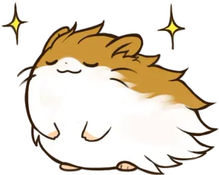 😎 hamster, cute, animal, pet, fluffy telegram sticker