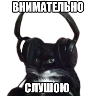 🤓 ВНИМАТЕЛЬНО
СЛУШОЮ kucing, headphone, mendengarkan, mendengarkan dengan seksama telegram sticker