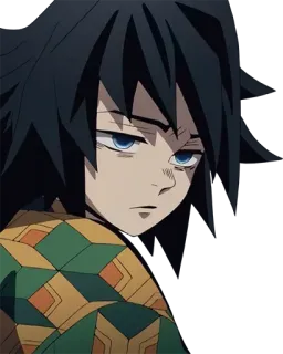 😞 Giyu Tomioka Demon Slayer anime, manga, giyu tomioka, demon slayer, character, serious telegram sticker