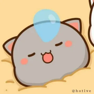 🤧 @hotlve cat, cute, kawaii, cartoon, sleeping, adorable telegram sticker