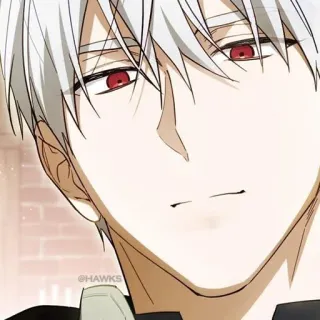 🤍 @HAWKS Anime, Homme, Cheveux blancs, Yeux rouges telegram sticker