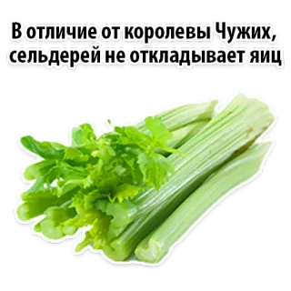 Facts About Celery @stickersb2b telegram stickers