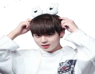 🐼 whatsapp sticker