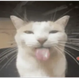 🤩