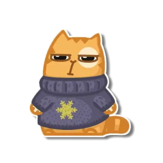 😕 gato, suéter, animal, naranja, lindo telegram sticker