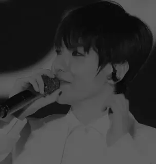 🇦🇹 singer, microphone, performance, portrait, korean telegram sticker