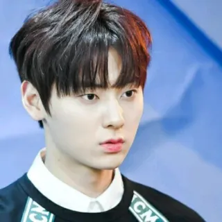 ☘ persona, hombre, retrato, kpop, idol, asiático telegram sticker