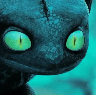 📍 Toothless How to Train Your Dragon Drache, süß, animiert, Film, Nachtschatten telegram sticker