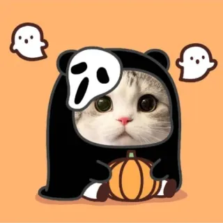 🌟 mèo, halloween, ma, bí ngô, dễ thương, nhãn dán telegram sticker