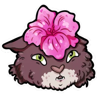 🌸 고양이, 꽃, 히비스커스, 동물, 스티커 telegram sticker