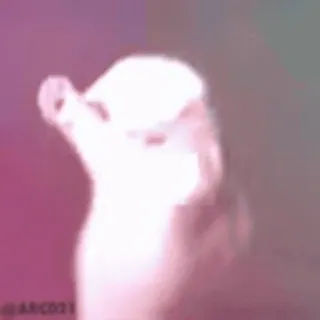 💃