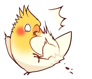 😨 Cacatiel, oiseau, mignon, animal, animal de compagnie, autocollant, dessin animé whatsapp sticker