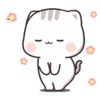 🍼 cat, cute, sticker, animal, kawaii whatsapp sticker