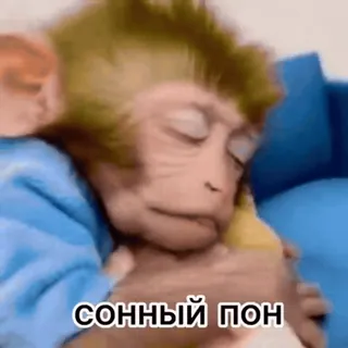 😴 сонный пон monyet, tidur, imut, hewan telegram sticker