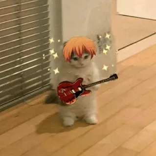 🐈 gato, guitarra, música, fofo, animal, animal de estimação, instrumento musical telegram sticker