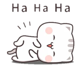 🤣 Ha Ha Ha Ha Katze, lachend, schlafend, lustig, Meme, süß, haha whatsapp sticker