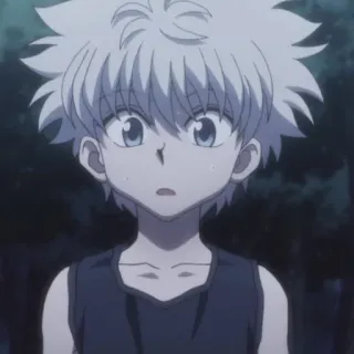 😦 Killua Zoldyck Hunter x Hunter Anime, Manga, Killua Zoldyck, Hunter x Hunter, Shonen, Anime Charakter telegram sticker