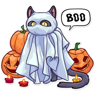 👻 BOO halloween, kucing, boo, hantu, labu, lucu telegram sticker